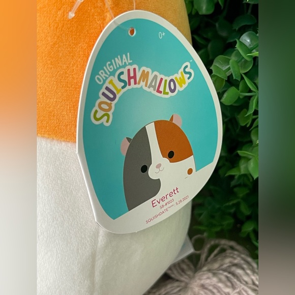 NWT Everett the Guinea Pig Squishmallows 8" - Picture 4 of 6
